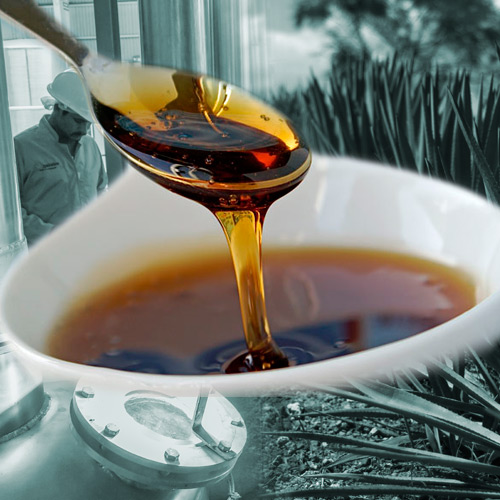 Miel de agave